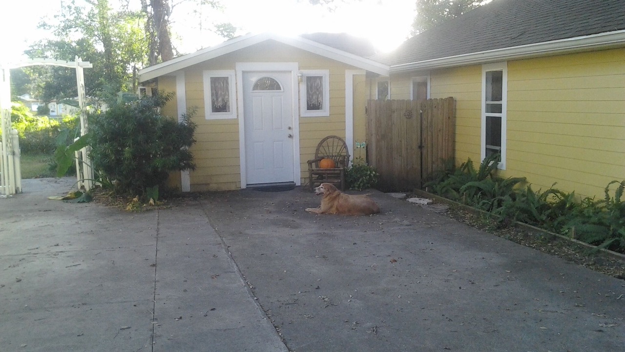 Photo of Outdoor in Clearwater