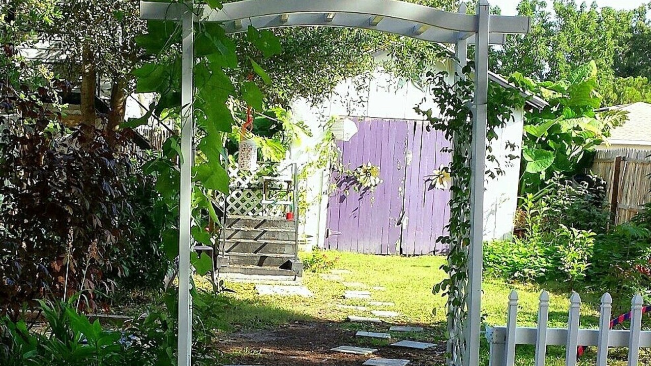 Photo of Outdoor in Clearwater