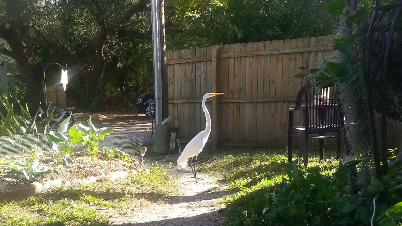 Photo of Outdoor in Clearwater