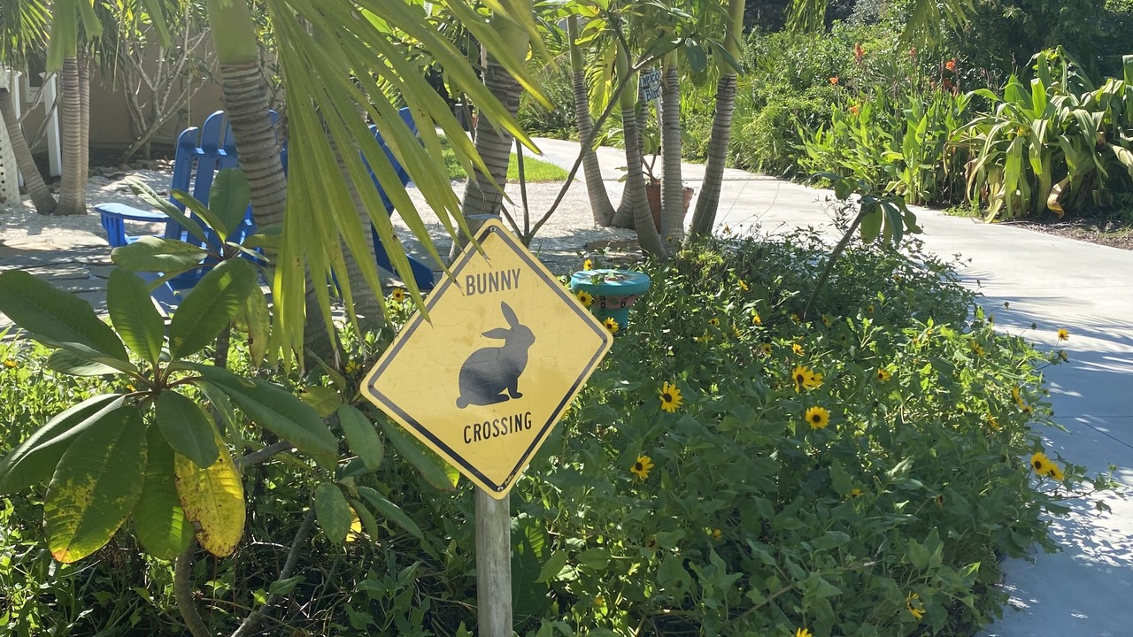 Photo of Others in Seminole