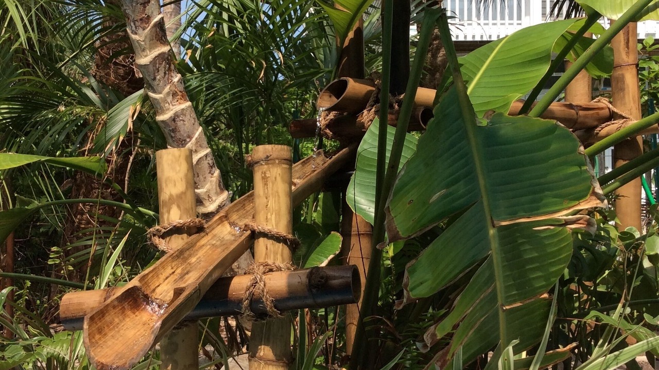 Photo of Others in North Captiva
