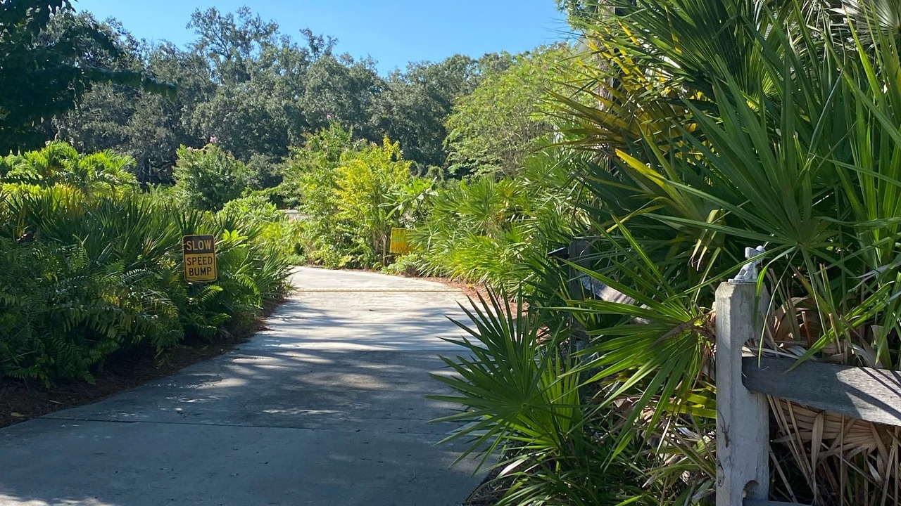 Photo of Outdoor in Seminole