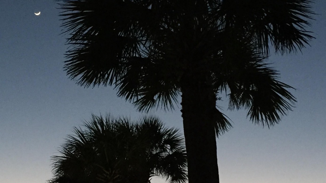 Photo of Others in Isle of Palms