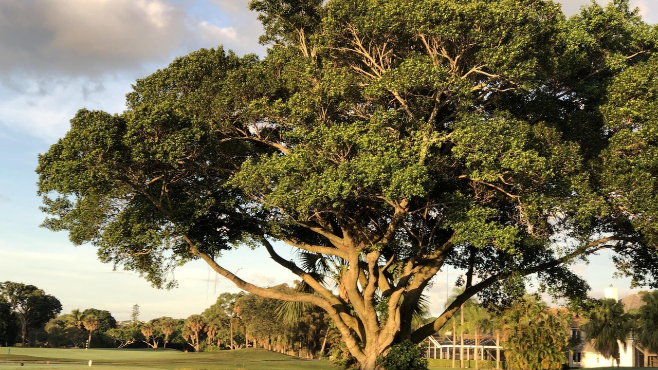 Photo of Others in Palm Beach Gardens