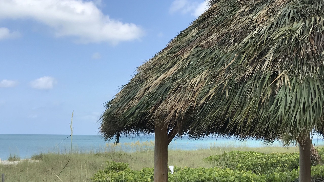 Photo of Outdoor in Nokomis