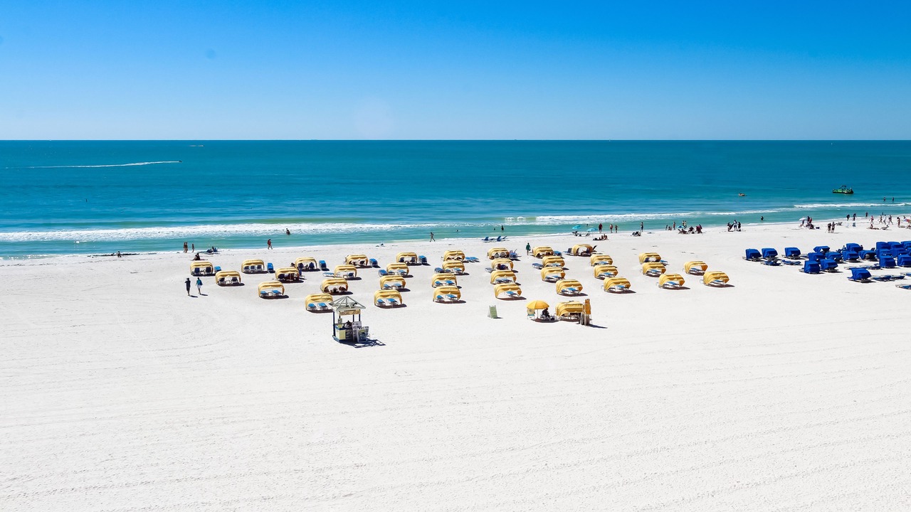 Photo of Others in St. Pete Beach
