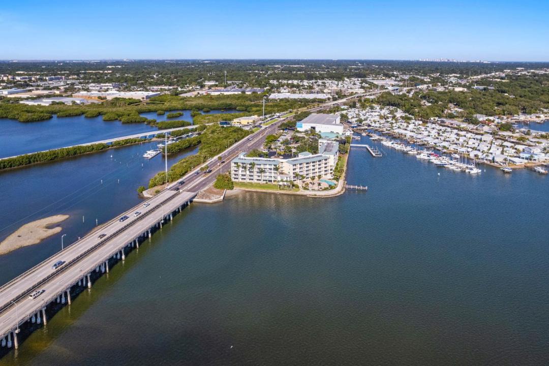 Photo of Others in St. Petersburg - Clearwater