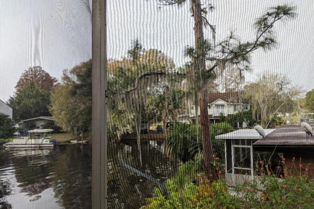Photo of Others in Tarpon Springs