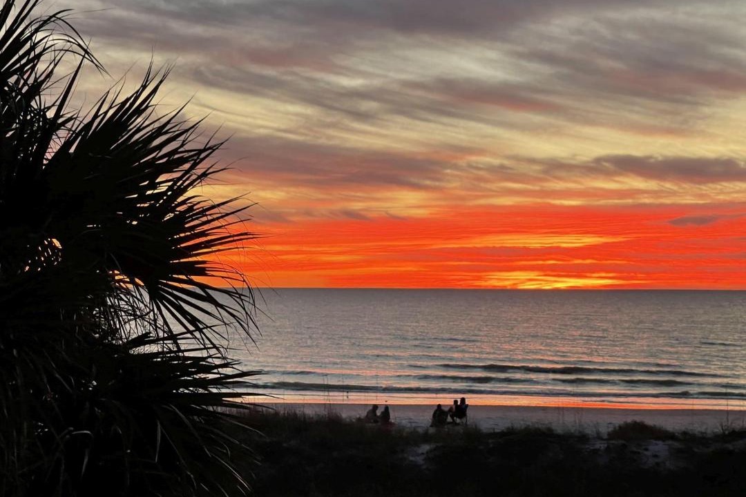 Photo of Others in Redington Shores