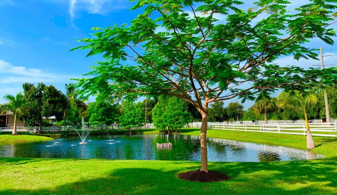 Photo of Outdoor in Buckingham