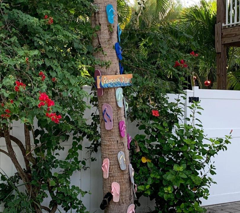 Photo of Others in Longbeach Village