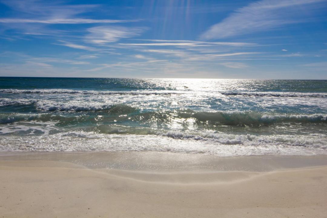Photo of Others in Seagrove Beach