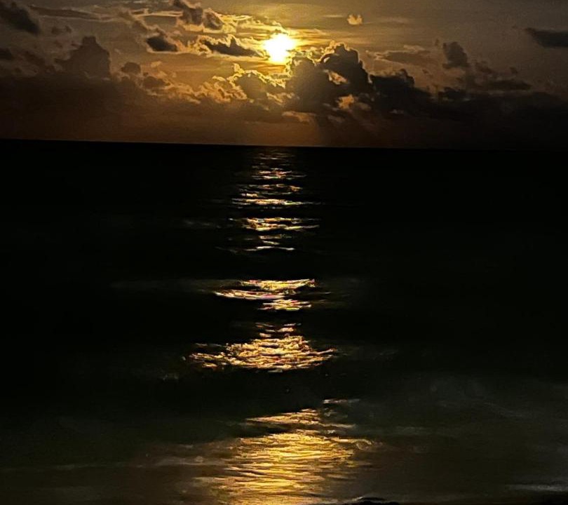 Photo of Others in Hillsboro Beach