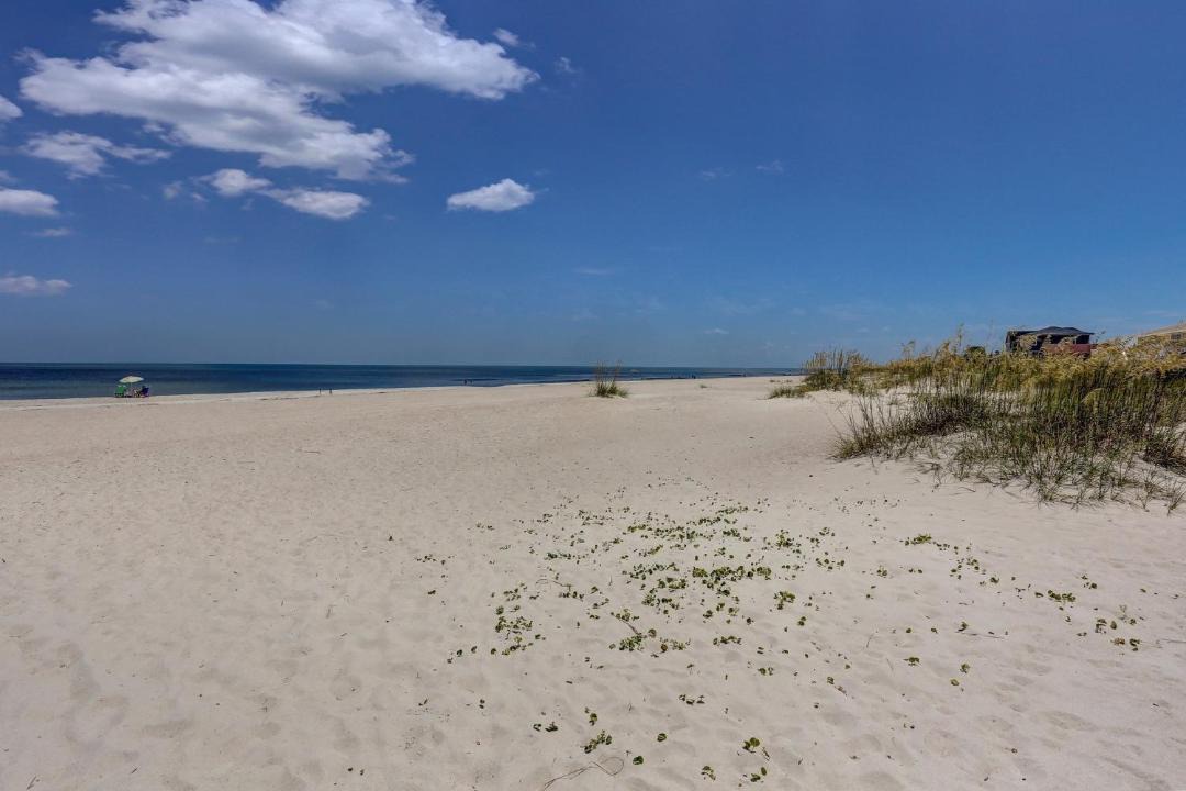 Photo of Others in Ocean Cay