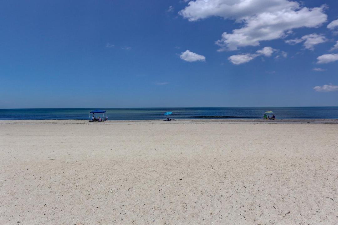 Photo of Others in Ocean Cay