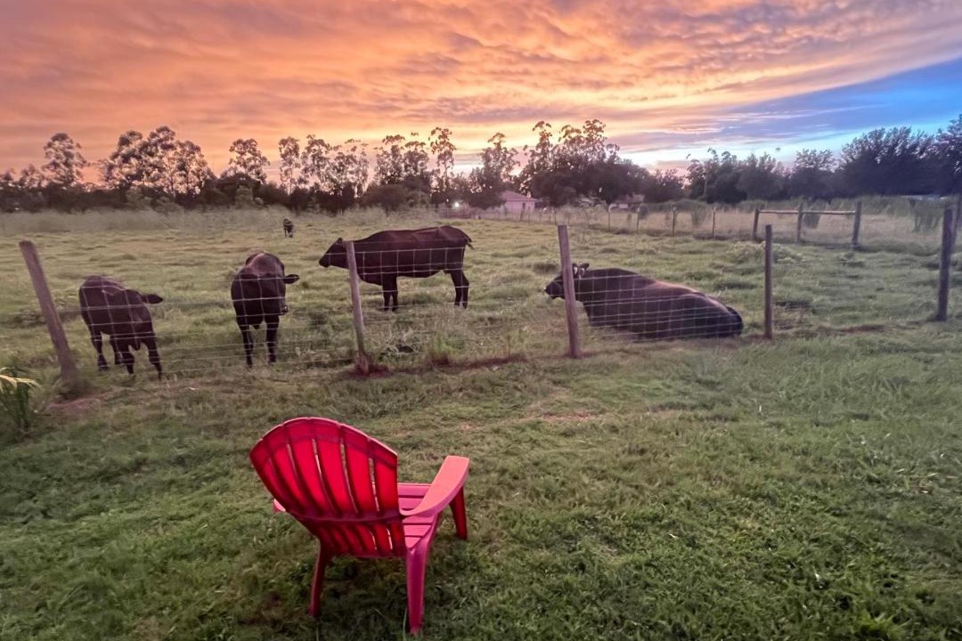 Photo of Others in Winter Haven