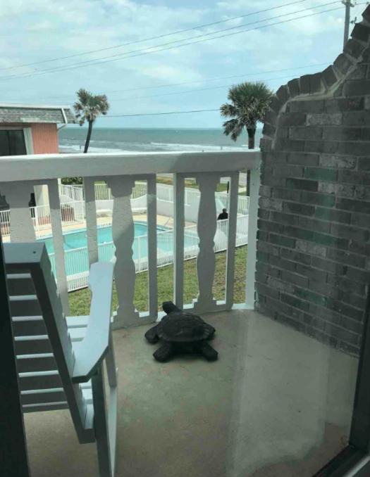 Photo of Patio Balcony in Ormond-by-the-Sea
