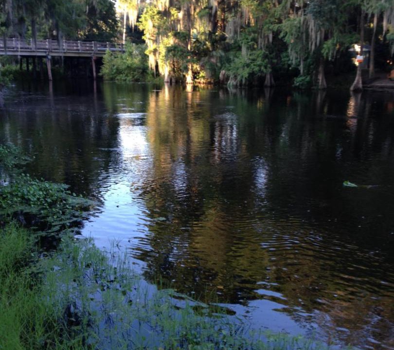 Photo of Others in Cross Creek