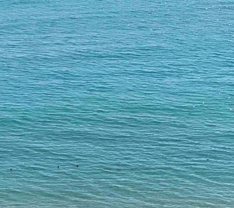 Photo of Others in Hollywood South Central Beach