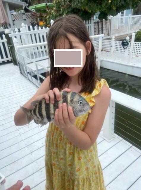 Photo of Others in Indian Rocks Beach