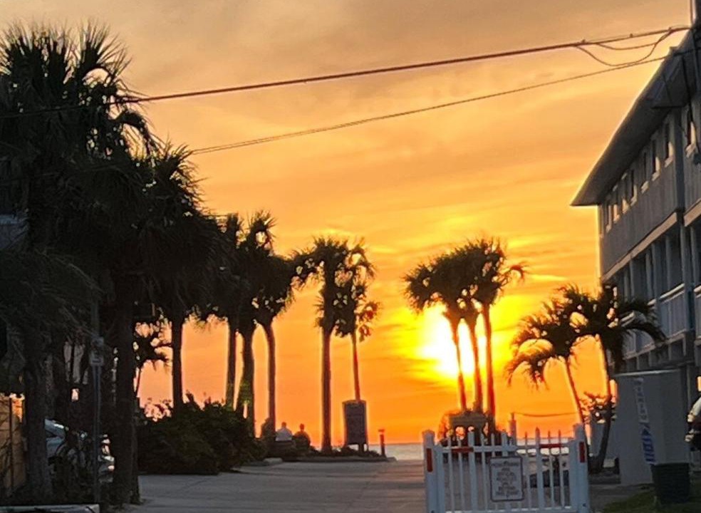 Photo of Others in Indian Rocks Beach