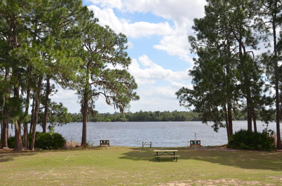 Photo of Others in West Kissimmee