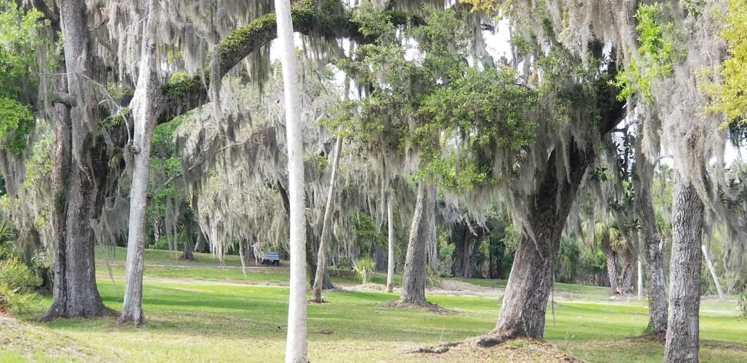 Photo of Others in Crystal River