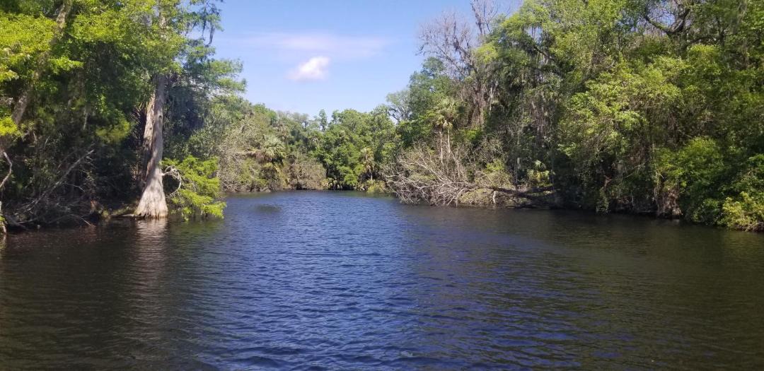 Photo of Others in Crystal River
