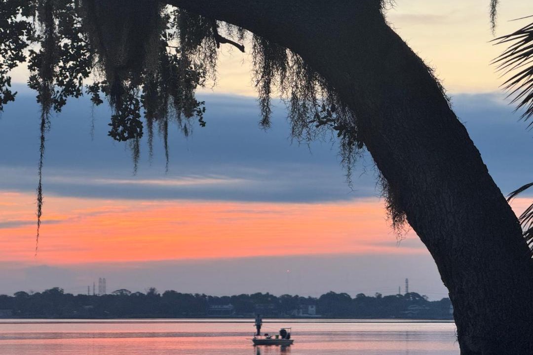 Photo of Others in Clearwater