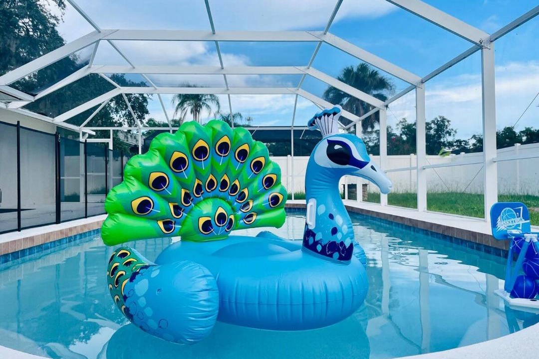 Photo of Others in Sarasota Springs