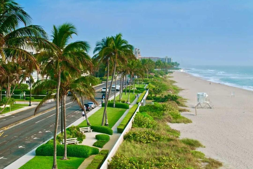 Photo of Others in Palm Beach