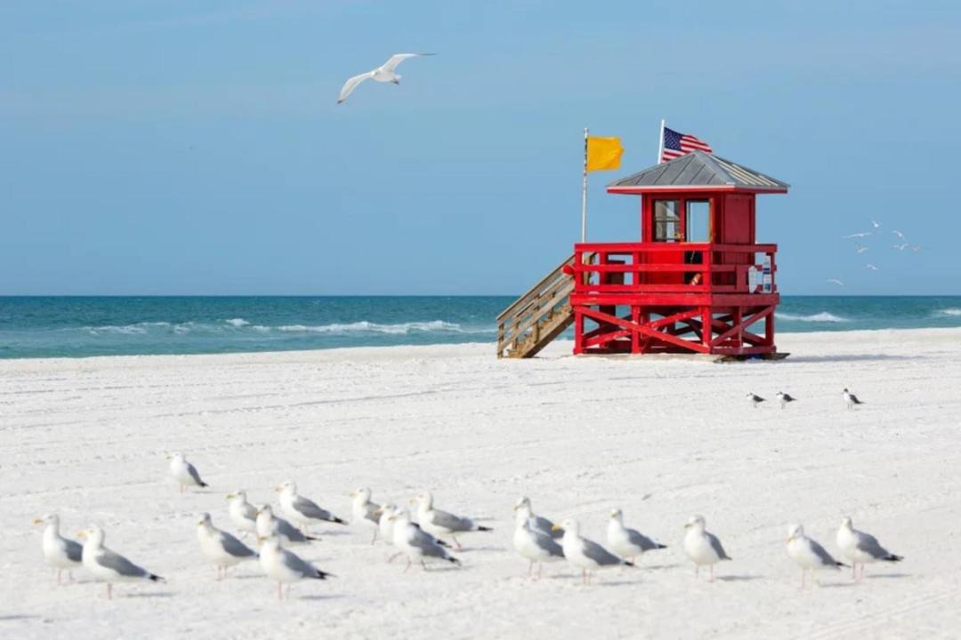 Photo of Others in Sarasota