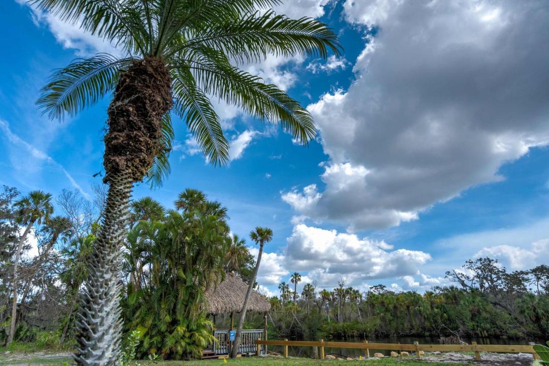 Photo of Others in Braden River