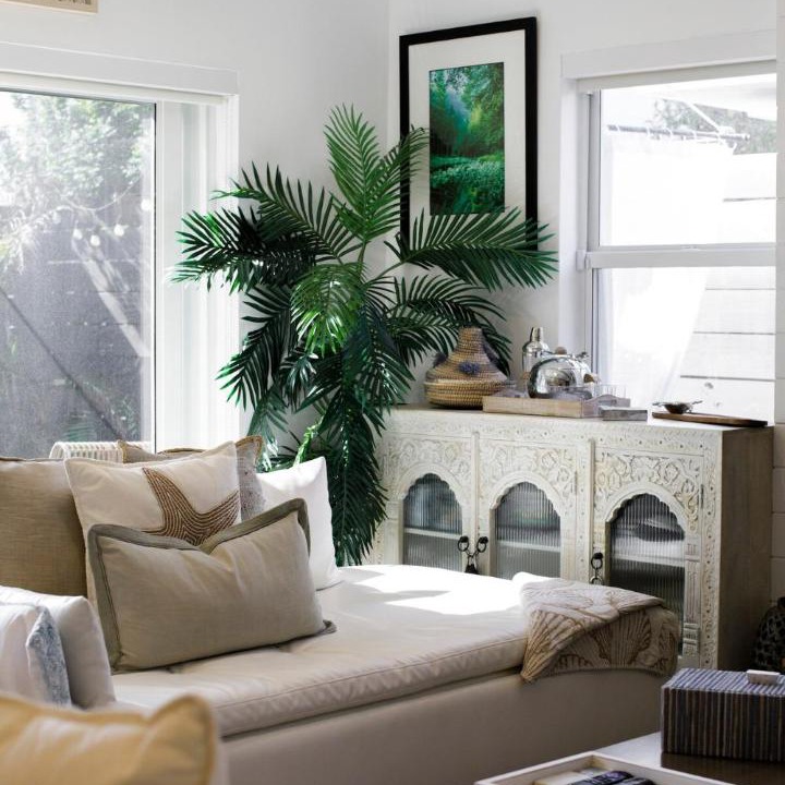 Photo of Livingroom in North Beach