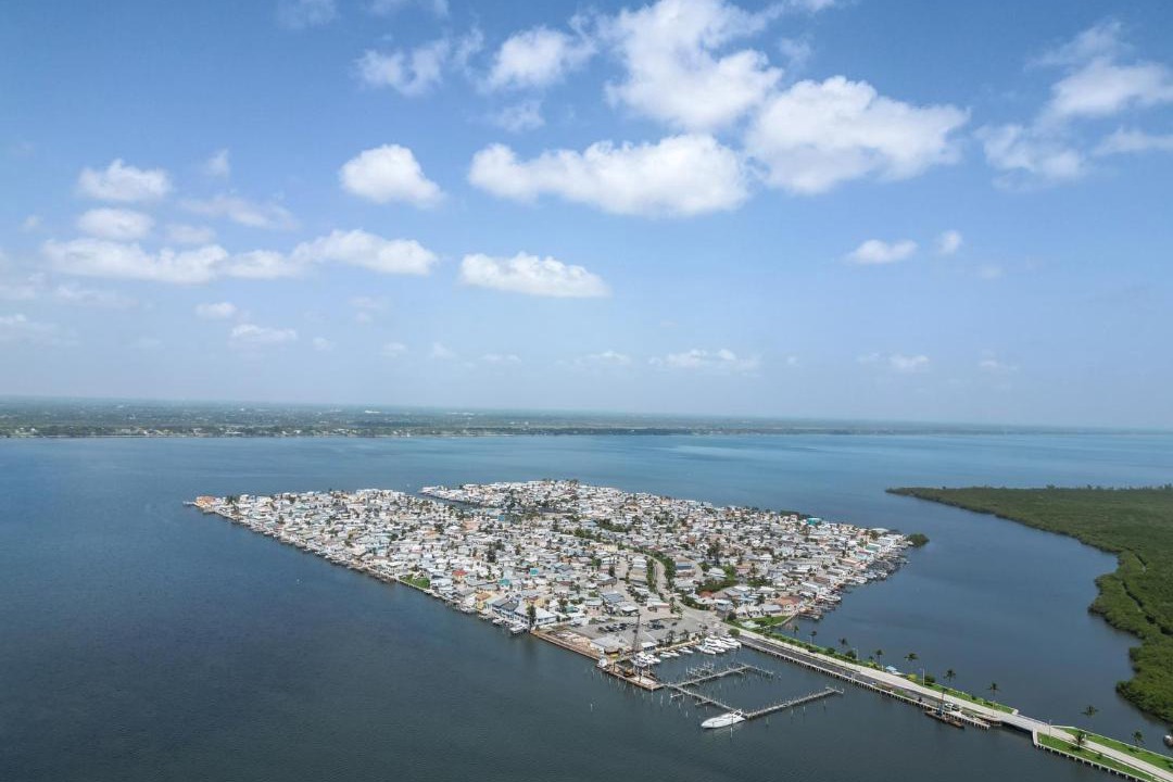 Photo of Others in Nettles Island