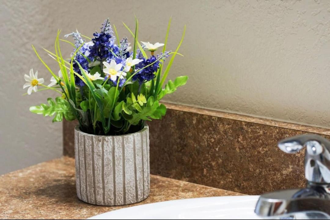 Photo of Bathroom in South Gate Ridge