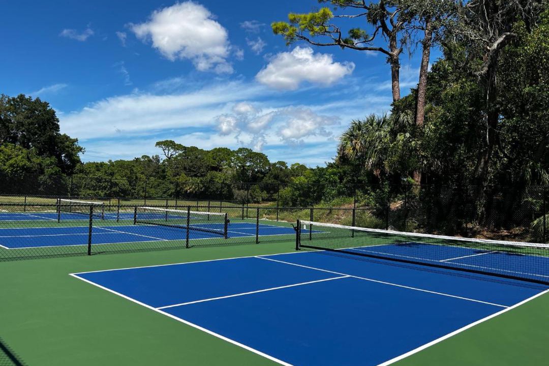 Photo of Outdoor in Palm Harbor