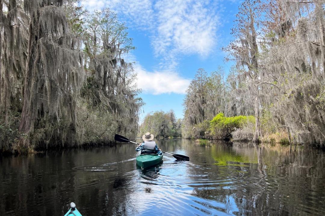 Photo of Others in Homosassa