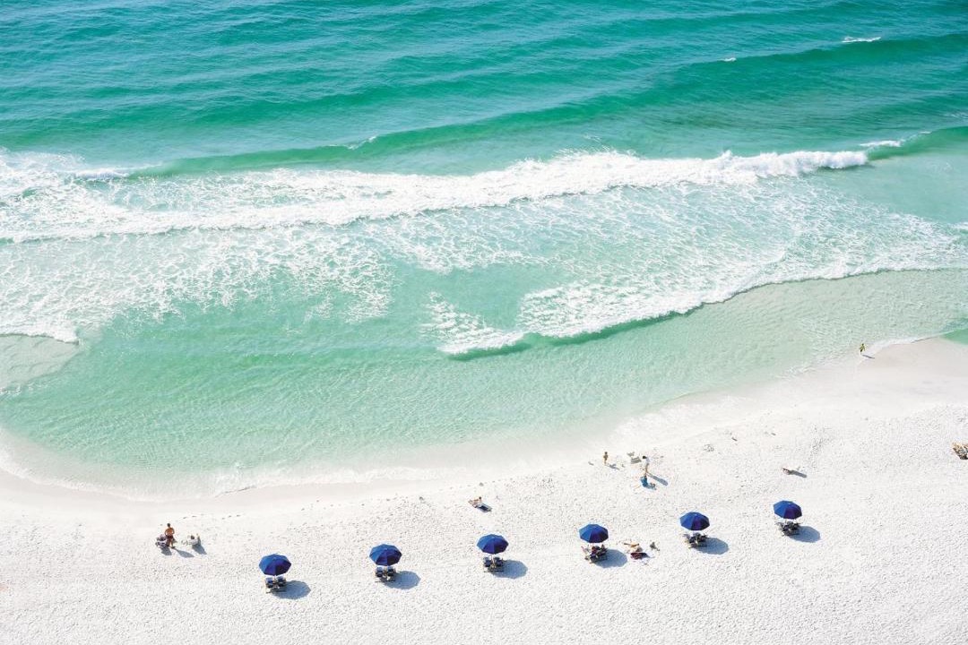 Photo of Others in Gulf Pines