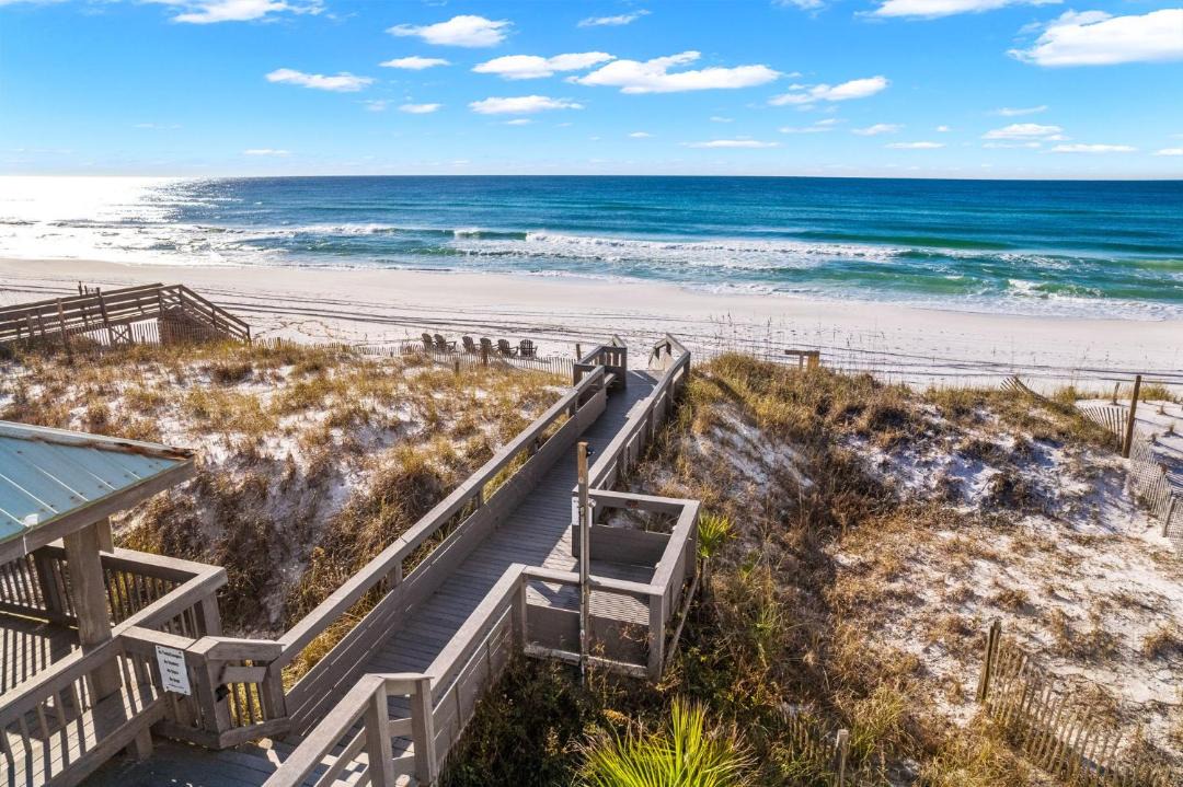 Photo of Others in Gulf Pines