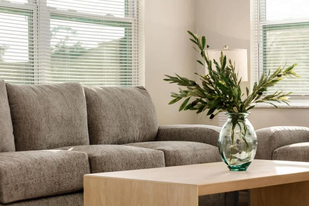 Photo of Livingroom in Zephyrhills
