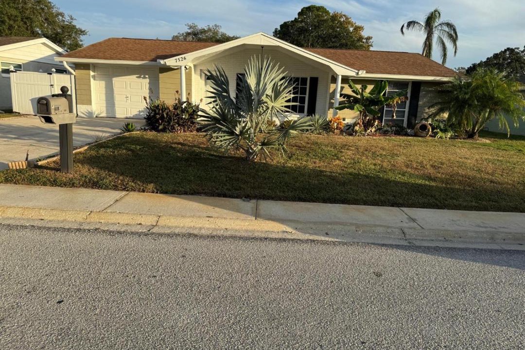 Photo of Others in New Port Richey East