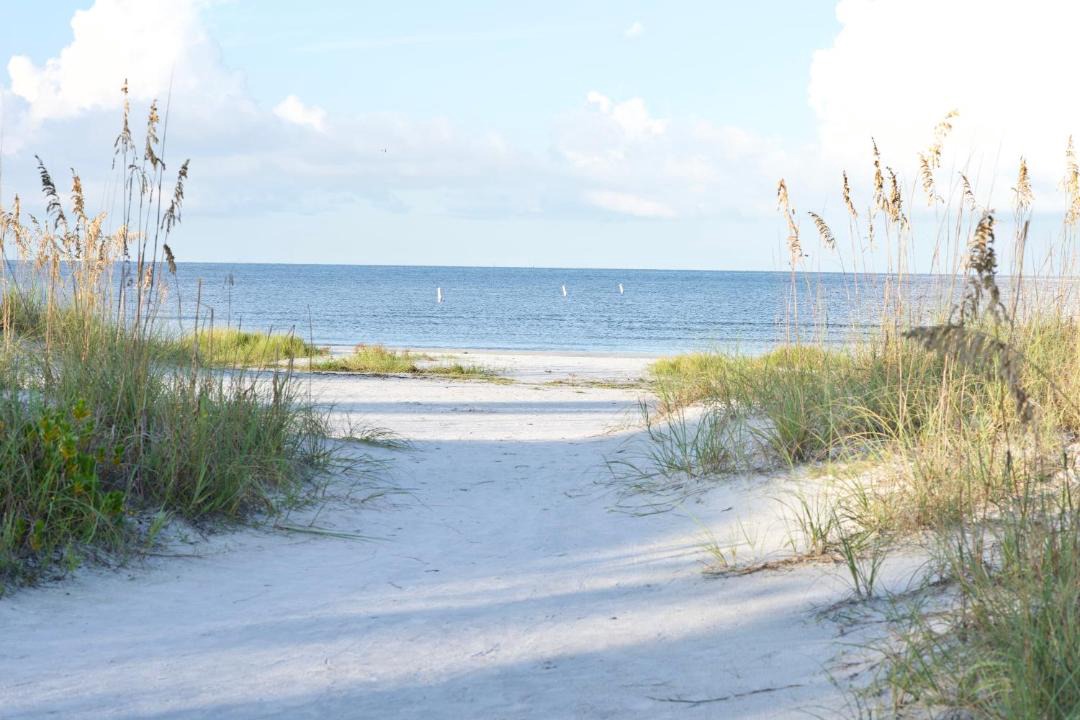 Photo of Others in Mid Island