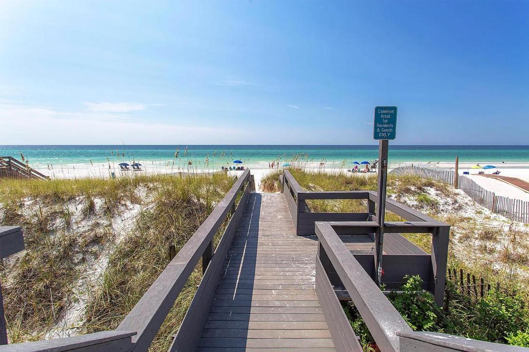 Photo of Others in Gulf Pines