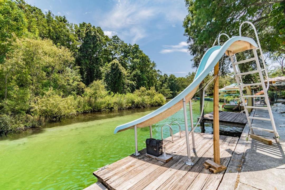 Photo of Others in Weeki Wachee Gardens