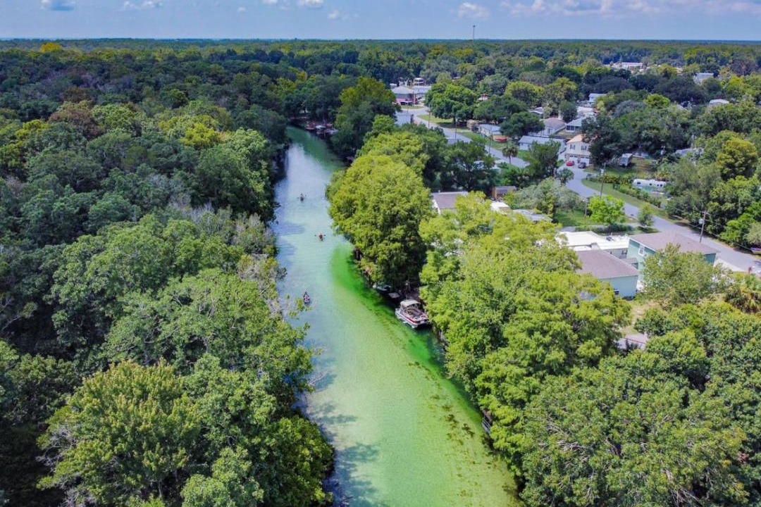 Photo of Others in Weeki Wachee Gardens