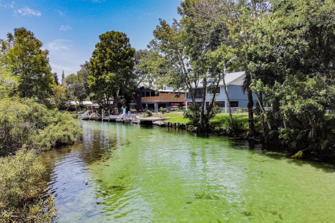 Photo of Others in Weeki Wachee Gardens