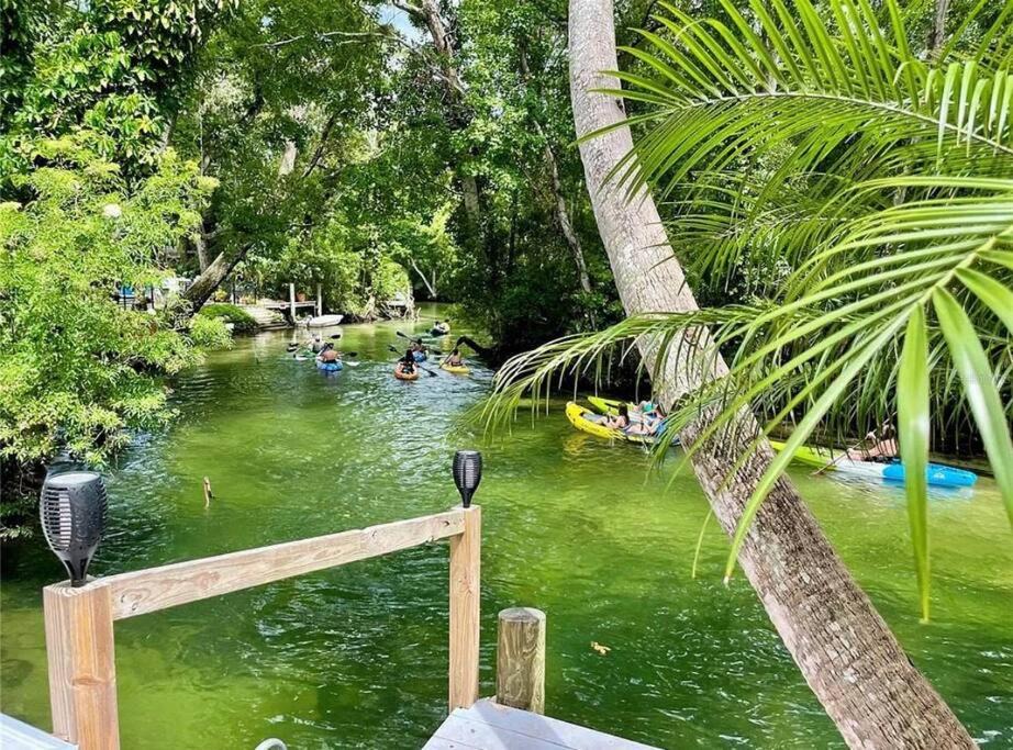 Photo of Others in Weeki Wachee Gardens