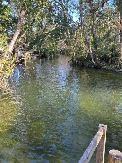 Photo of Others in Weeki Wachee Gardens