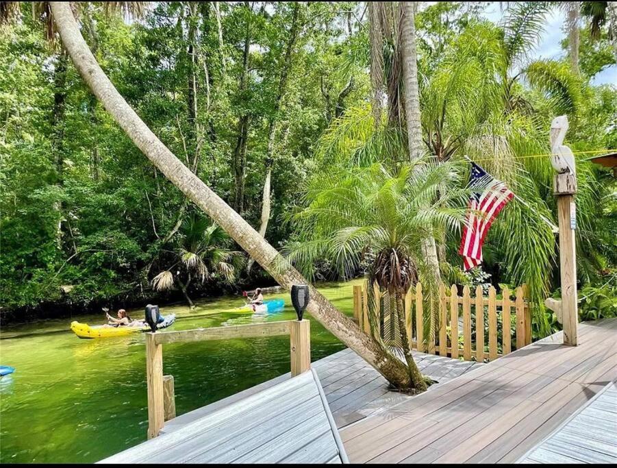 Photo of Others in Weeki Wachee Gardens